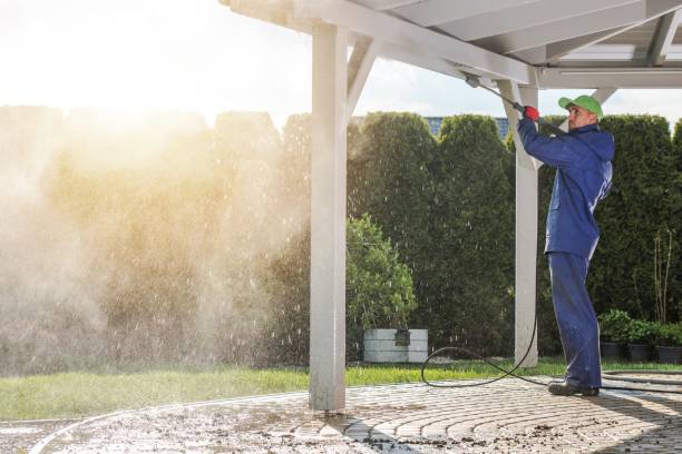 Best Sidewalk and Walkway Cleaning  in Cocoa West, FL